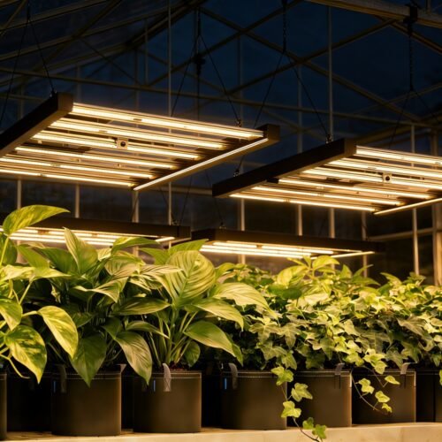 GH Full Spectrum LED Grow Light Bar450W, High PPFD & Low Heat, 4 x 4 Ft. Coverage