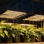 240W LED Grow Light | 2.4μmol/J Full Spectrum | App Control & Dimmable 6-Bar Lamp for 3x3ft Indoor Plants Full Cycle Growth - Image 7