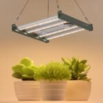240W LED Grow Light | 2.4μmol/J Full Spectrum | App Control & Dimmable 6-Bar Lamp for 3x3ft Indoor Plants Full Cycle Growth - Image 8